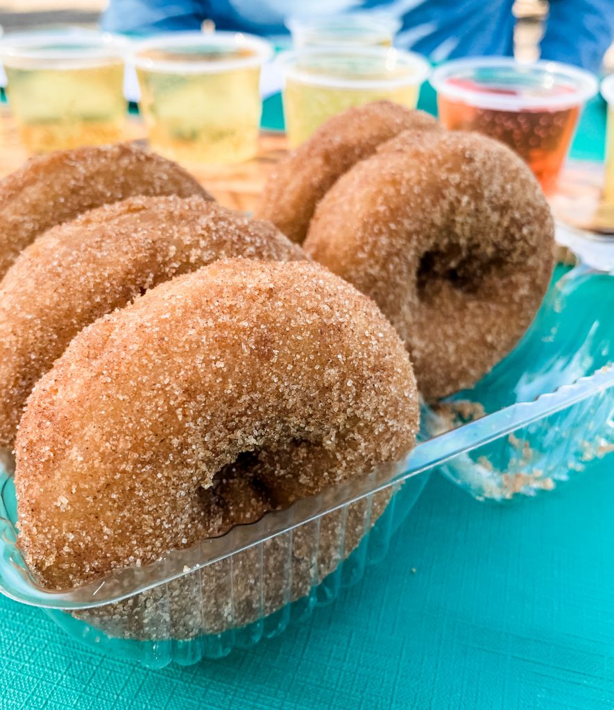 apple cider donuts on a blue table