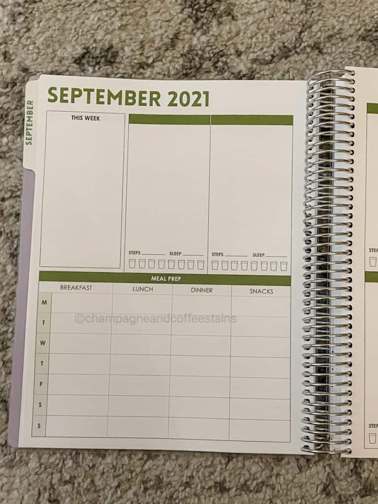 weekly planner layout