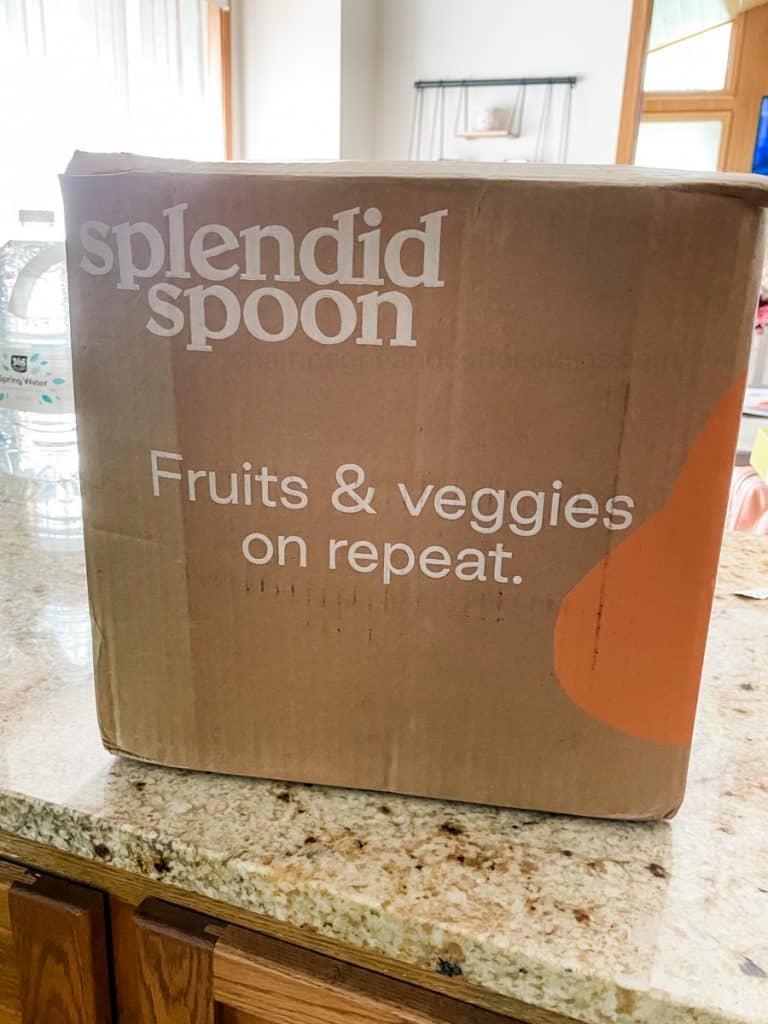 splendid spoon box