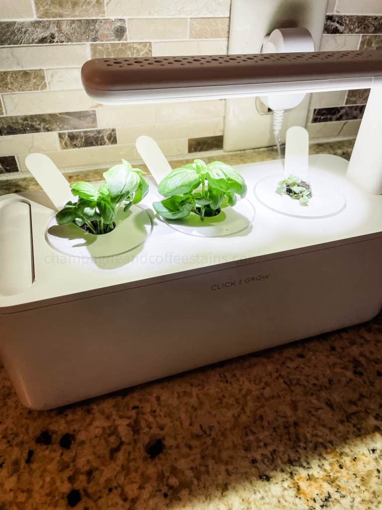 I Tried Click and Grow Smart Garden for a Year and Here’s What Happened