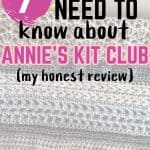 annie's kit club review pinterest pin