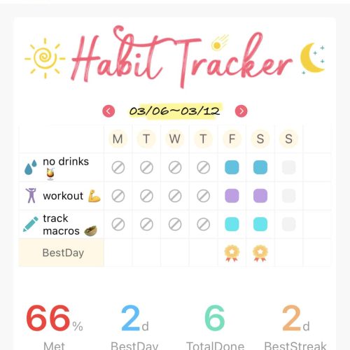 habit tracker summary